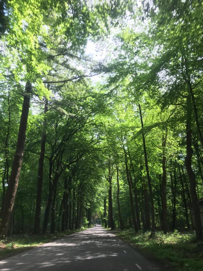 Uniek Chalet Op De Veluwe, In Bosrijke Omgeving. Путен Екстериор снимка
